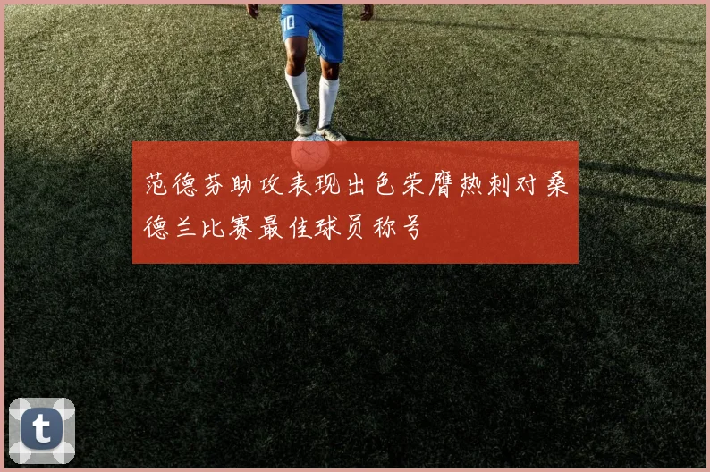 范德芬助攻表现出色荣膺热刺对桑德兰比赛最佳球员称号