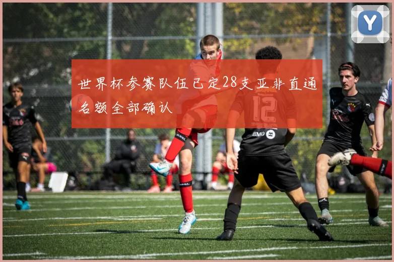 世界杯参赛队伍已定28支亚非直通名额全部确认