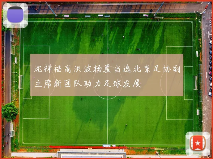 沈祥福高洪波杨晨当选北京足协副主席新团队助力足球发展